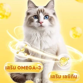 ขนมแมวเลีย😸 50/100 ซอง อาหารเปียกแมว ขนมแมว เนื้อละเอียดไม่ต้องเคี้ยว อร่อยและมีคุณค่าทางโภชนาการ