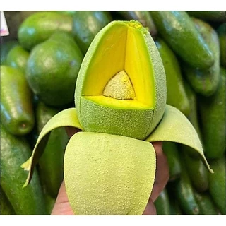 hot ส่งฟรี ‼️ (1KG) avocado อโวคาโด้ อโวคาโด อโวคาโด้ อโวคาโด้สด อโวคาโดสด สดจากไร่ อโวคาโด้ พื้นเมือง อะโวคาโด