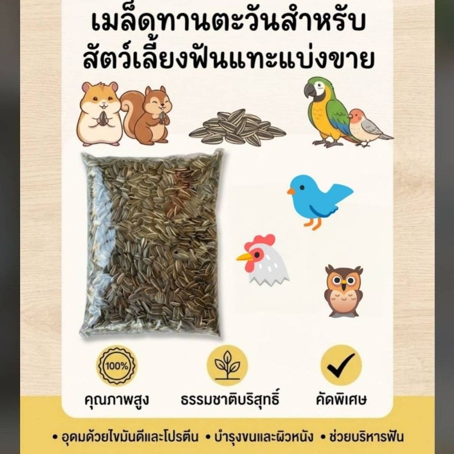 เมล็ดทานตะวันสำหรับสัตว์เลี้ยงฟันแทะ #3.0