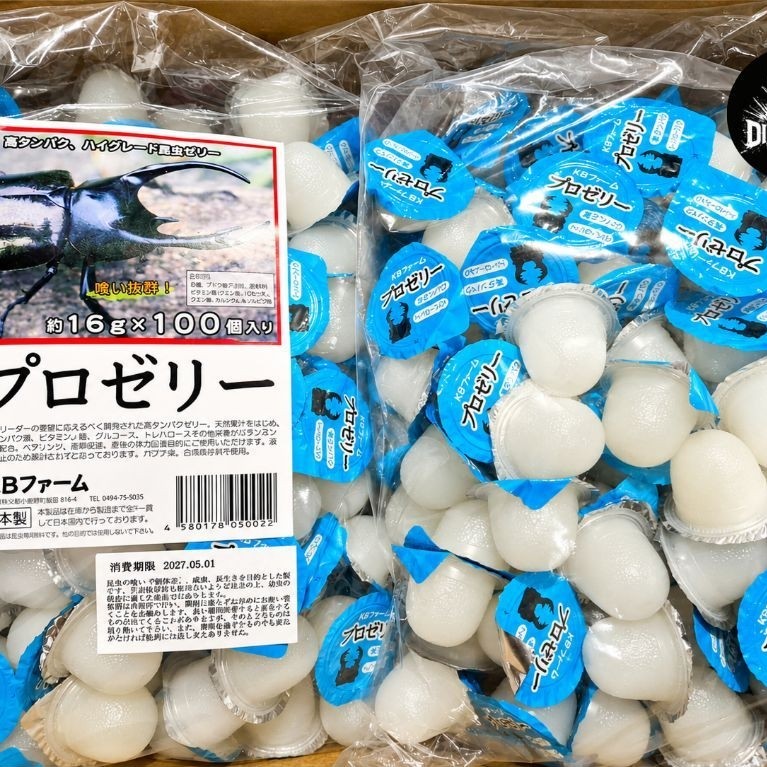 เยลลี่ด้วง โปรตีนสูง KB High Protein Jelly Beetle อาหารด้วง