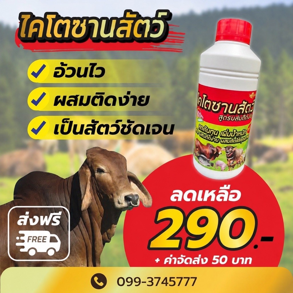 📮 ส่งฟรี ‼️🔥หงส์ทองไคโตซาน (ฝาสีแดง) 🔥 เร่งโต อ้วนไว ผสมติดง่าย เป็นสัดชัดเจน เช็ต 1 ขวด บรรจุ 1 ลิตร 390 บาท
