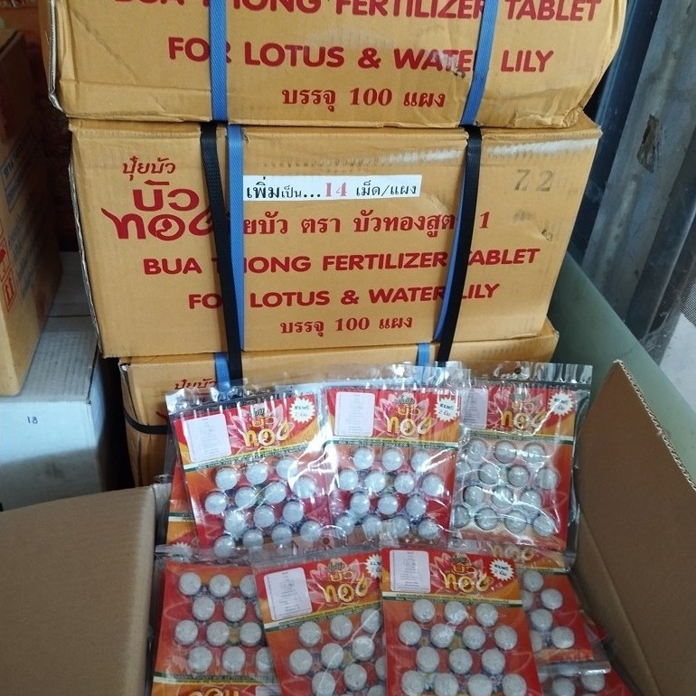 [ยกลัง100แผง] ปุ๋ยบัว บัวทอง แผง14เม็ด ขนาดบรรจุ100แผง/ลัง