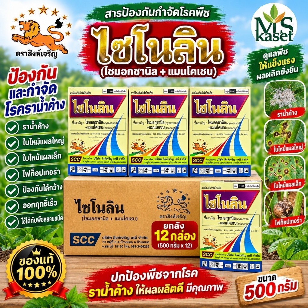 ไซโนลิน(ไซมอกซานิล+ แมนโคเซบ)ขนาด500กรัม(บรรจุ12กล่อง/ลัง) ใช้ป้องกันและกำจัดโรคราน้ำค้าง