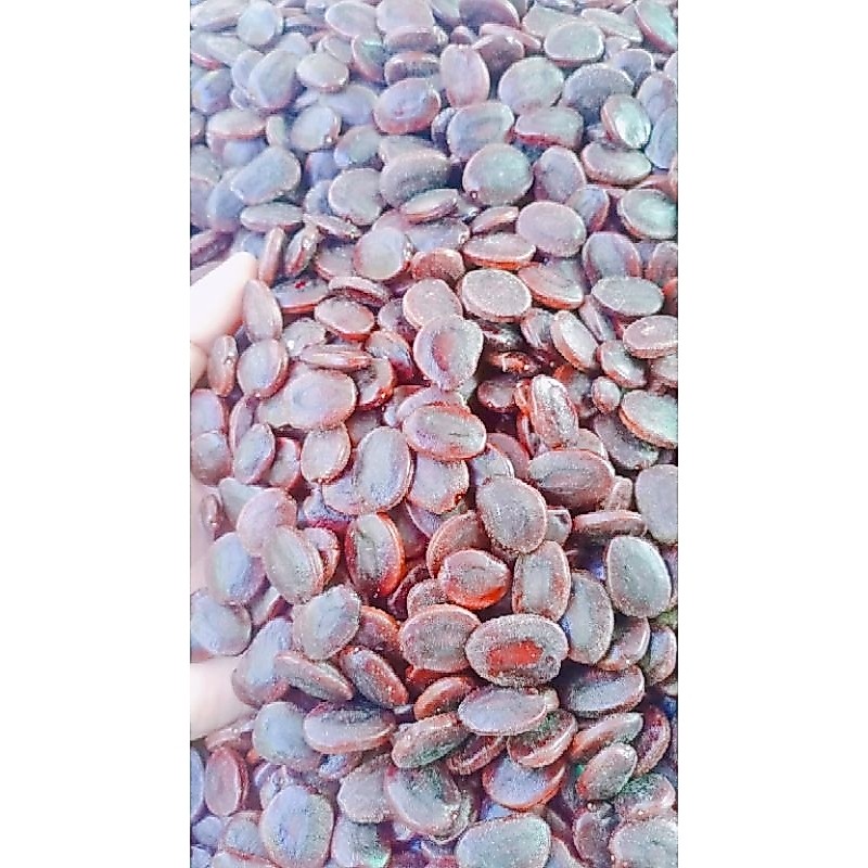เมล็ดมะขามยักษ์ 1 กก.ละ 59บาท ปี2569