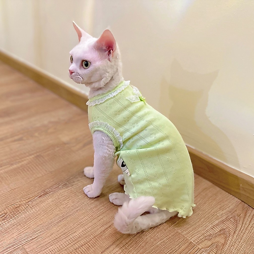 Y · H Summer Fresh Mesh Breathable Summer Thin Sleeve Sphinx Hairless Cat Clothes German