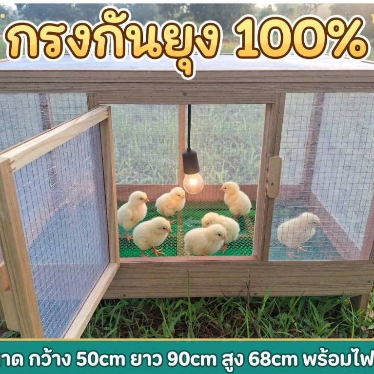 กรงกันยุง 100% กรงอนุบาลไก่มีไฟกก