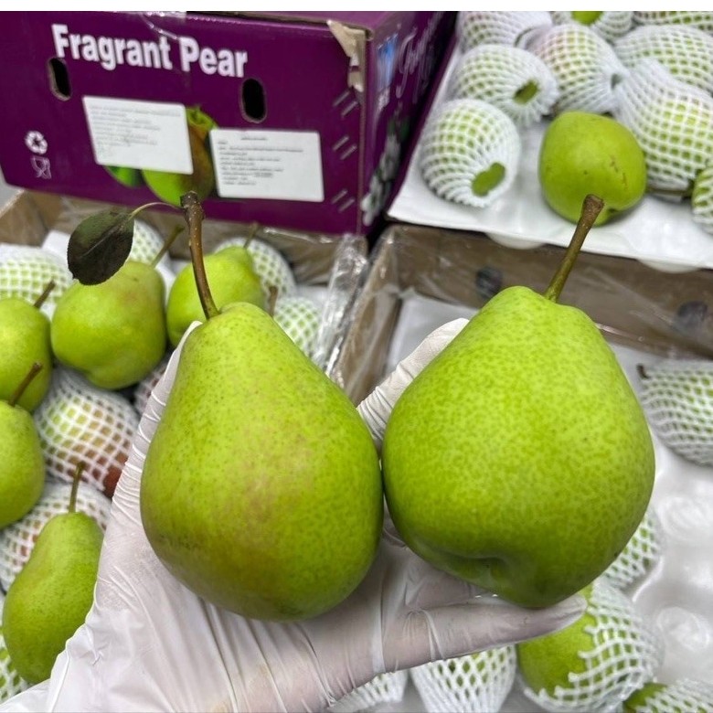 ลูกแพรหอม 1kg หวานหอม กรอบ อร่อย 🍐🍐🍐