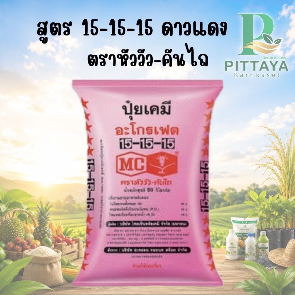 (ยกกระสอบ 50 กิโล) ปุ๋ย สูตร 15-15-15 ตรา หัววัว คันไถ (ดาวแดง) สะสมธาตุอาหาร ครบ จบทุกระยะ​