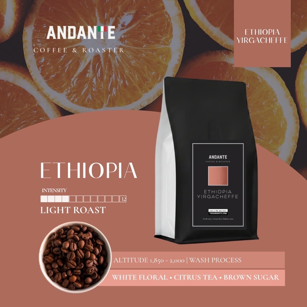 The Andante เมล็ดกาแฟคั่วอ่อน เอธิโอเปีย เยอกาเชฟ Ethiopia Yirgacheffe