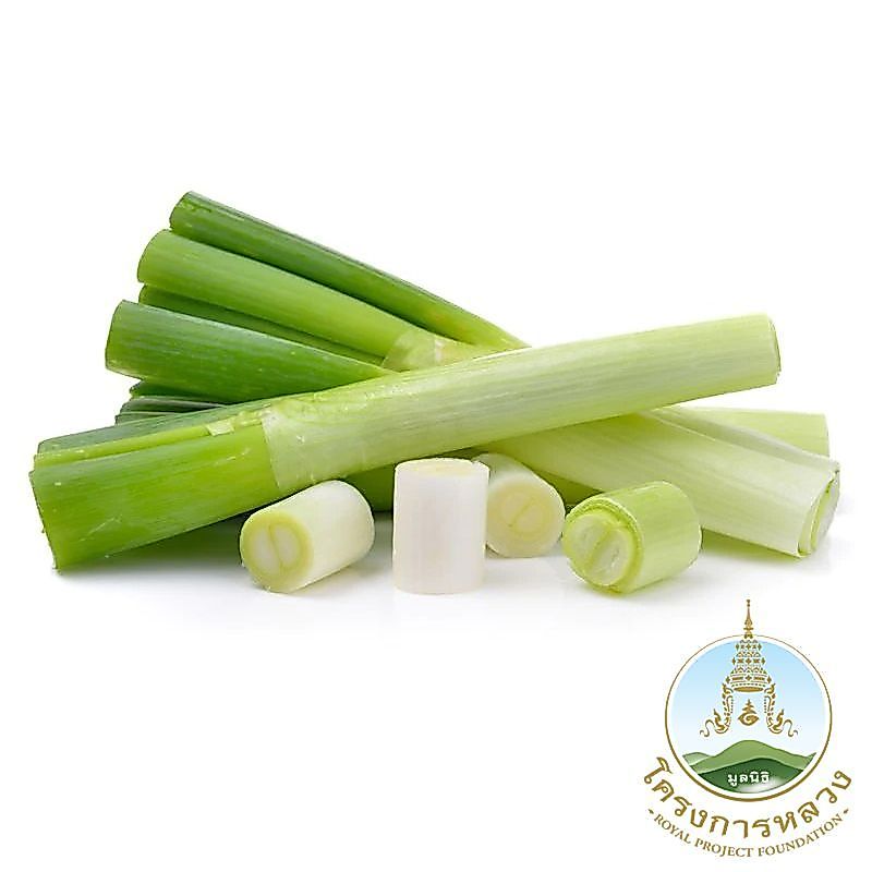 โครงการหลวงต้นหอมญี่ปุ่น 300กรัม Royal Project Japanese Spring Onion 300g.