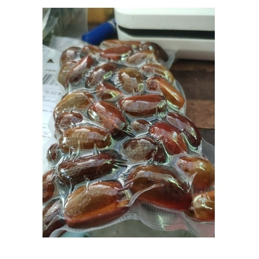 ลูกประดอง 400กรัม ลูกกะ ลูกกระ เนื้อสัมผัสกรอบอร่อย รสชาติเปรี้ยว กินกับขนมข้าว ขนมจีน อร่อยทุกเมนู