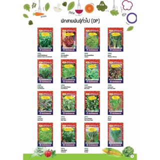 ซื้อ 10 ซอง เเถม 1 ซอง เมล็ดผัก ตราภูเขาทอง งอกดี