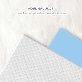 PETLOVE แผ่นรองฉี่ แผ่นรองฉี่สุนัข แผ่นรองฉี่แมว ไม่มีกาวแปะ ช่วยฝึกขับถ่าย ซึมซับได้ดี กักเก็บกลิ่น