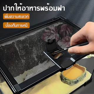 กล่องเพาะพันธุ์ แก้ว การจัดสวนกล่องสัตว์เลี้ยง เต่า งู จิ้งจก แมงมุม สัตว์เลี้ยงสัตว์เลื้อยคลาน พาโนรามาและโปร่งใส