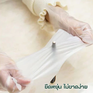 ถุงมือใช้แล้วทิ้ง ฟู้ดเกรด วัสดุ TPE ขนาด L อย่างดี 100 ชิ้น/ซอง พร้อมส่งจากรังสิต