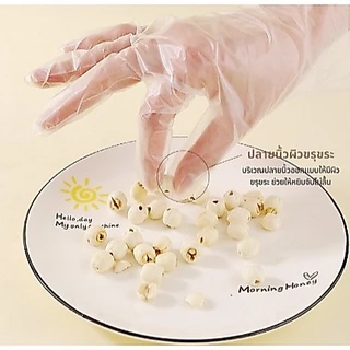 ถุงมือ TPE แบบกล่อง 100 ชิ้น Food Grade แบบพีวีซี เหนียว ไม่ขาดง่ายสำหรับ ทำอาหาร พร้อมส่งจากไทย