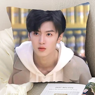 Pre Order🌈 หมอน เฉินเจ๋อหย่วน ChenZheyuan แอบรักให้เธอรู้ ‼️รอของ25-30วัน