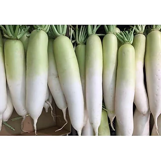 เมล็ดพันธุ์หัวไชเท้าญี่ปุ่น 9บาท 100เมล็ด