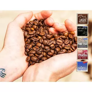 เมล็ดกาแฟ คั่วเข้ม กาแฟมณีพฤกษ์ gem forest coffee Dark forest Roast