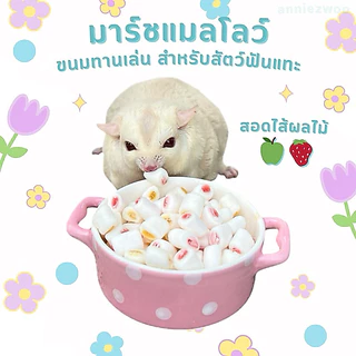 มาร์ชแมลโลว์ สอดไส้ผลไม้ ขนมทานเล่น สำหรับสัตว์เลี้ยงฟันแทะ ชูการ์ไกรเกอร์ แฮมเตอร์ กระรอก