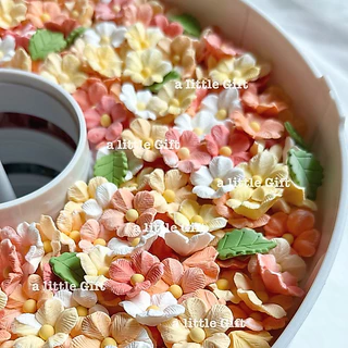 ดอกไม้แสนสวย🌸กัมเพส/น้ำตาลแต่งเค้ก (ทานได้ค่ะ)