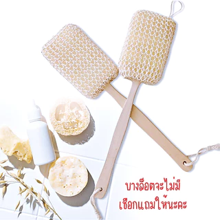 ใยบวบขัดผิวด้ามไม้ ธรรมชาติ 100% ใยบวบขัดหลัง ขัดตัว ใยบวบ ขัดหลัง แปรงอาบน้ำ ขัดขี้ไคล ใยบวบ ใยถูตัวอาบน้ำ อาบน้ำ WN