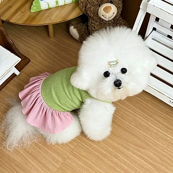 [คลังสินค้าพร้อม] แมวน้ําแข็งผ้าไหมสีจับคู่ปกเสื้อกั๊กฤดูร้อนคู่สไตล์เสื้อผ้าสุนัข thumbnail 7