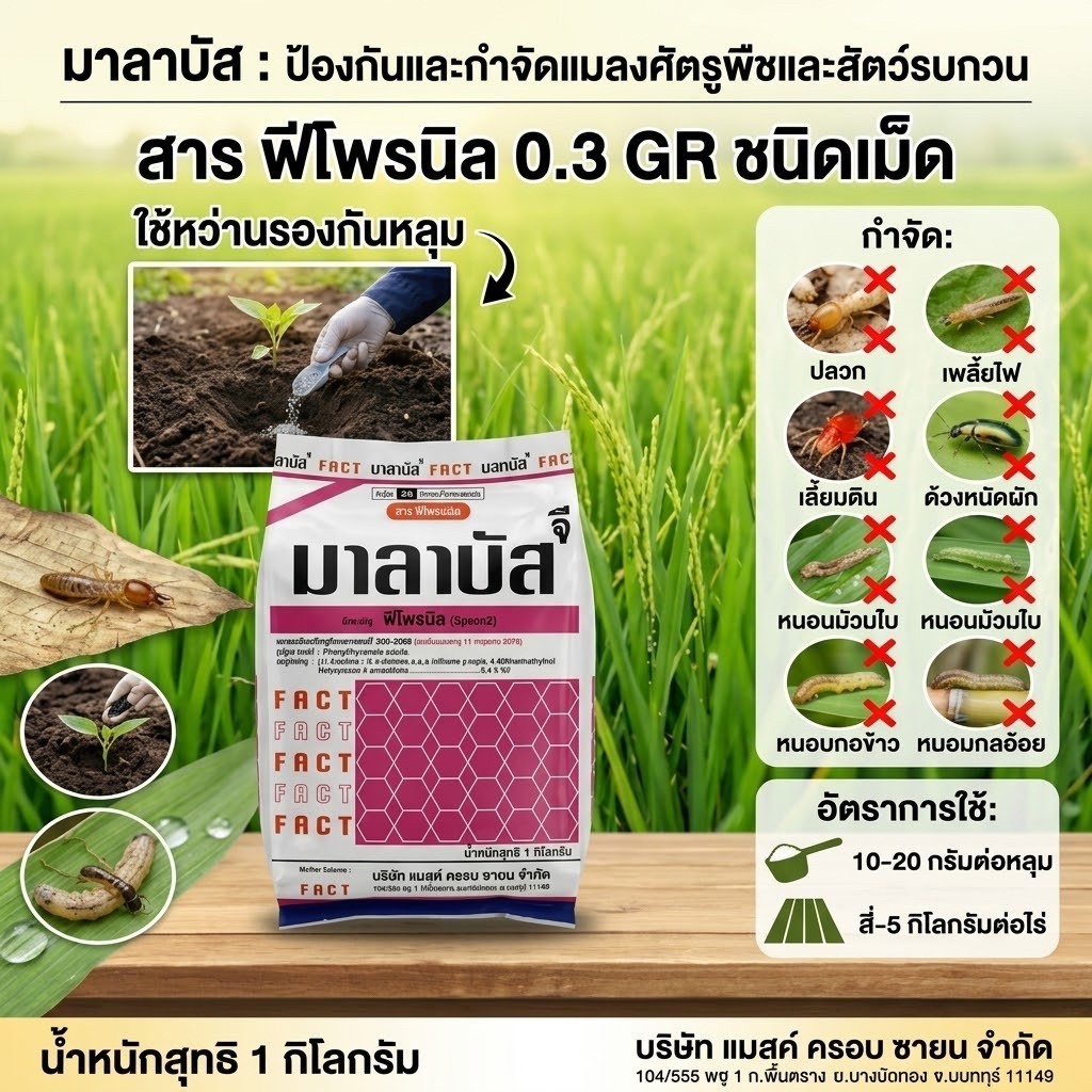 ฟีโพรนิล 0.3GR  มาลาบัส ขนาด 1 กก. ใช้ ป้องกันกำจัดแมลงศัตรูพืชและใช้ลองก้นหลุม