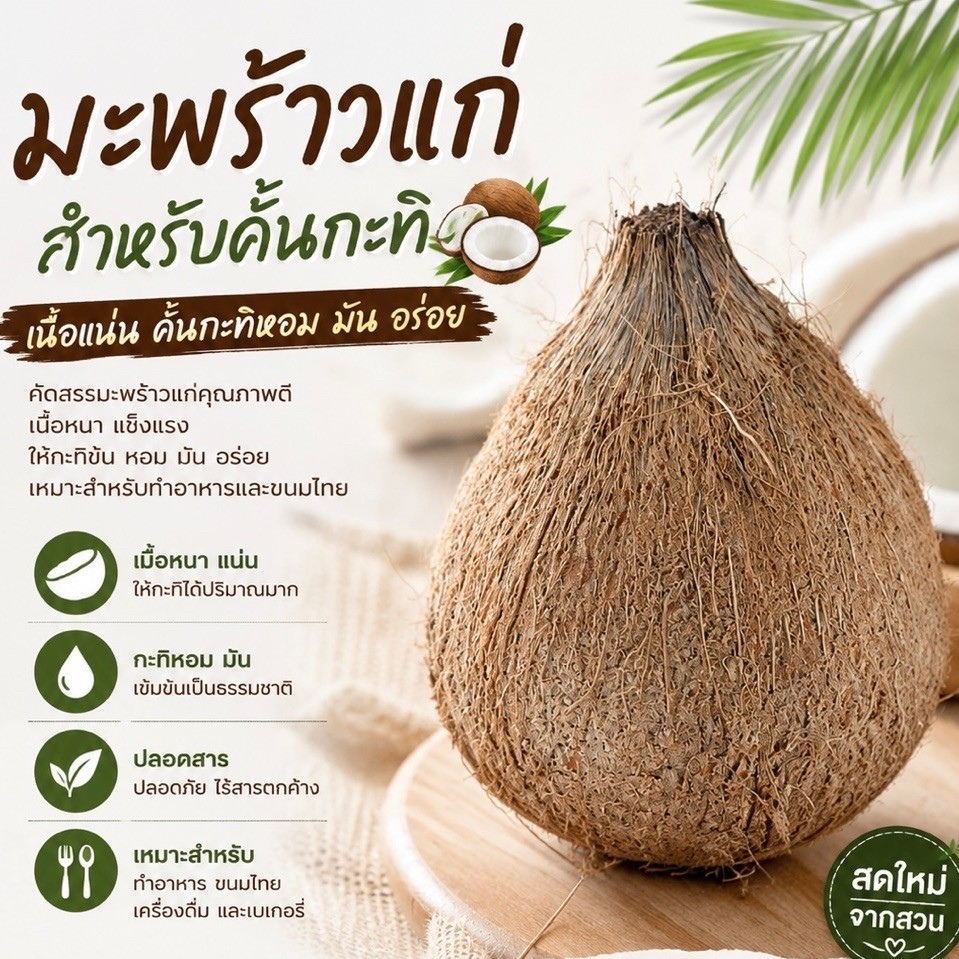 🥥มะพร้าวสำหรับคั้นกะทิขนาดกลาง ทำแกง หรือขนมหวาน 🥥