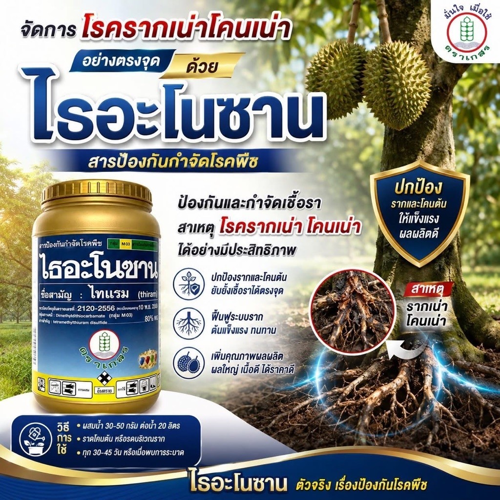 ไทแรม 80% WG 500g ของแท้ ไธอะโนซาน กำจัดชื้อราแบคทีเรีย ไล่ นก หนู กระรอก กำจัดตะไคร้น้ำ โรครากเน่า