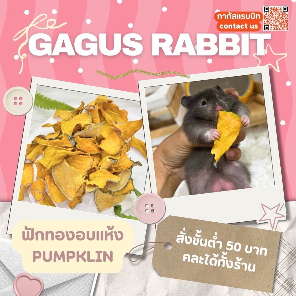 GAGUS RABBIT 🐰 / (ขั้นต่ำ50บาท) ฟักทองอบแห้ง สำหรับกระต่าย แฮมเตอร์ แกสบี้ และสัตว์ฟันแทะ