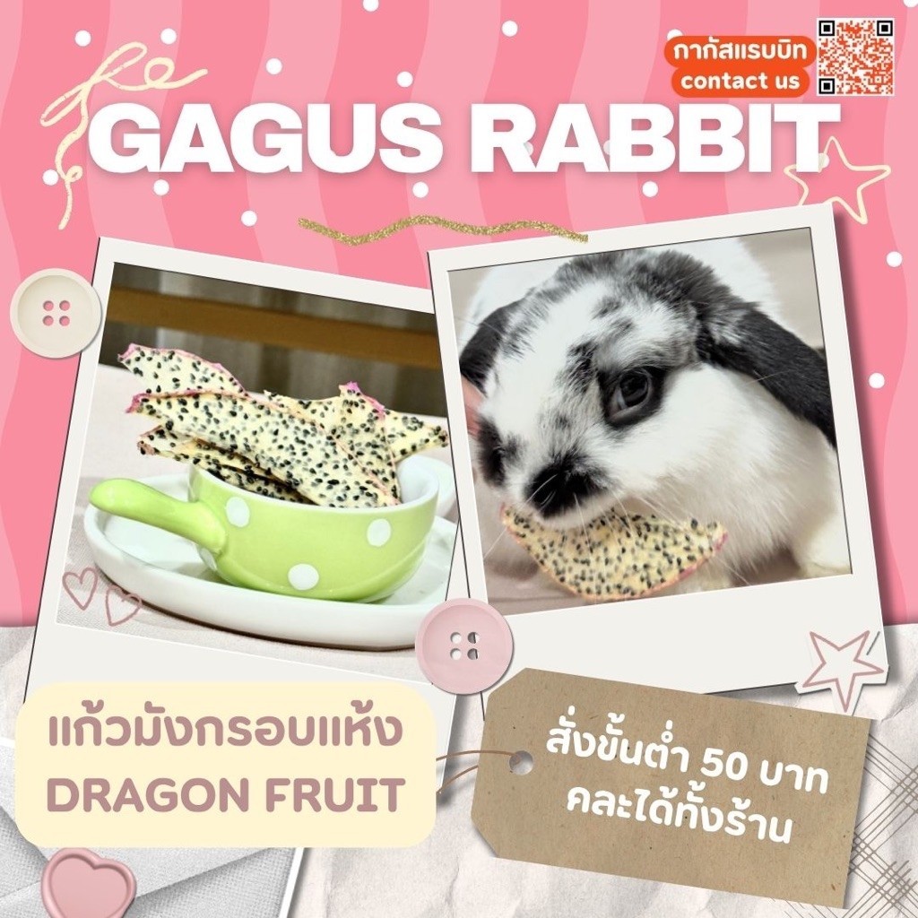GAGUS RABBIT 🐰 / (ขั้นต่ำ50บาท) แก้วมังกรอบแห้ง สำหรับกระต่าย แฮมเตอร์ แกสบี้ และสัตว์ฟันแทะ