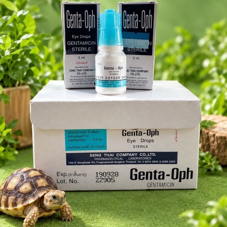 Genta-Oph เต่าบกใช้หยอดจมูก-ตา