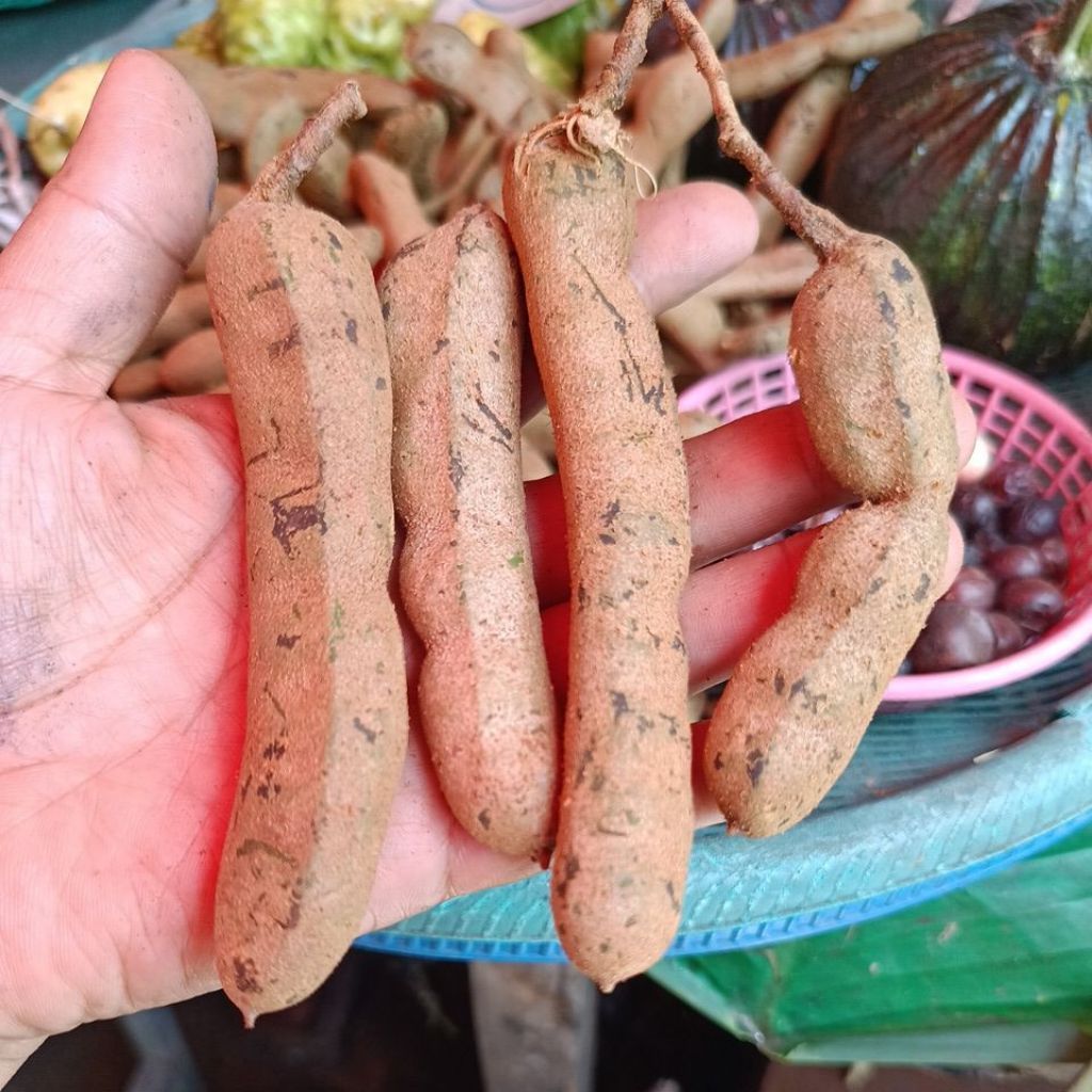 ัฝักมะขามอ่อน500g.(ครึ่งโลเหมาะตำน้ำพริก)