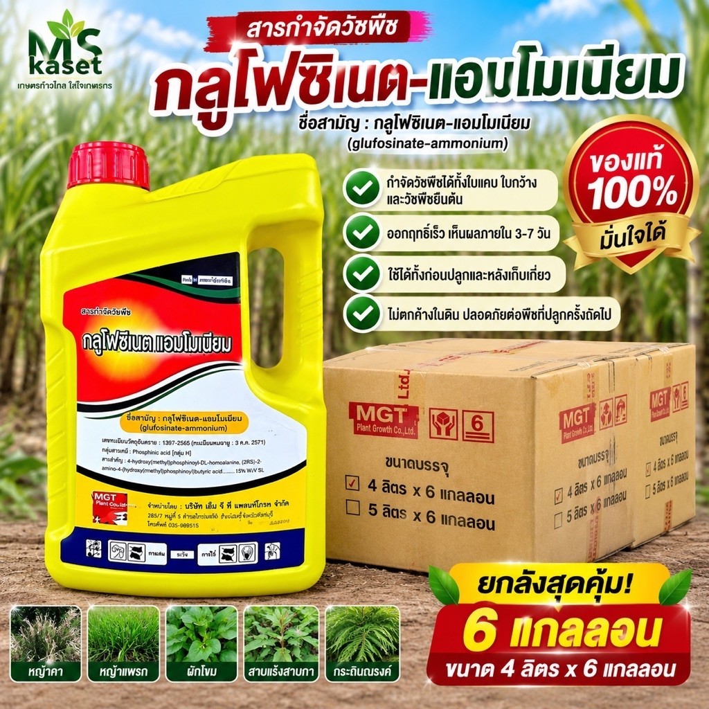 กลูโฟซิเนตMGT(แกลลอนเหลือง)ขนาด 4 ลิตร***ยกลัง 6 แกลลอน*** เผาไหม้กึ่งดูดซึม