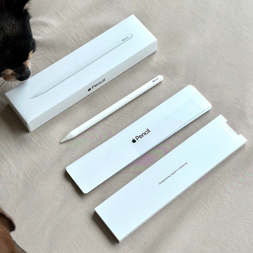 [แท้/พร้อมส่ง] Apple Pencil 2 (มือสอง) (สภาพดีมาก)