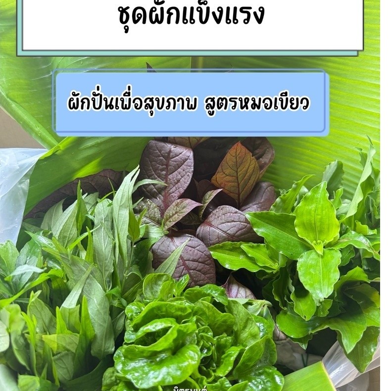 มิตรมนต์ | ชุดผักแข็งแรง สำหรับปั่นเพื่อสุขภาพ จะทานสด หรือจะทำน้ำผักปั่นก็ได้ สด สะอาด ปลอดสาร อ่านรายละเอียดก่อนสั่งด