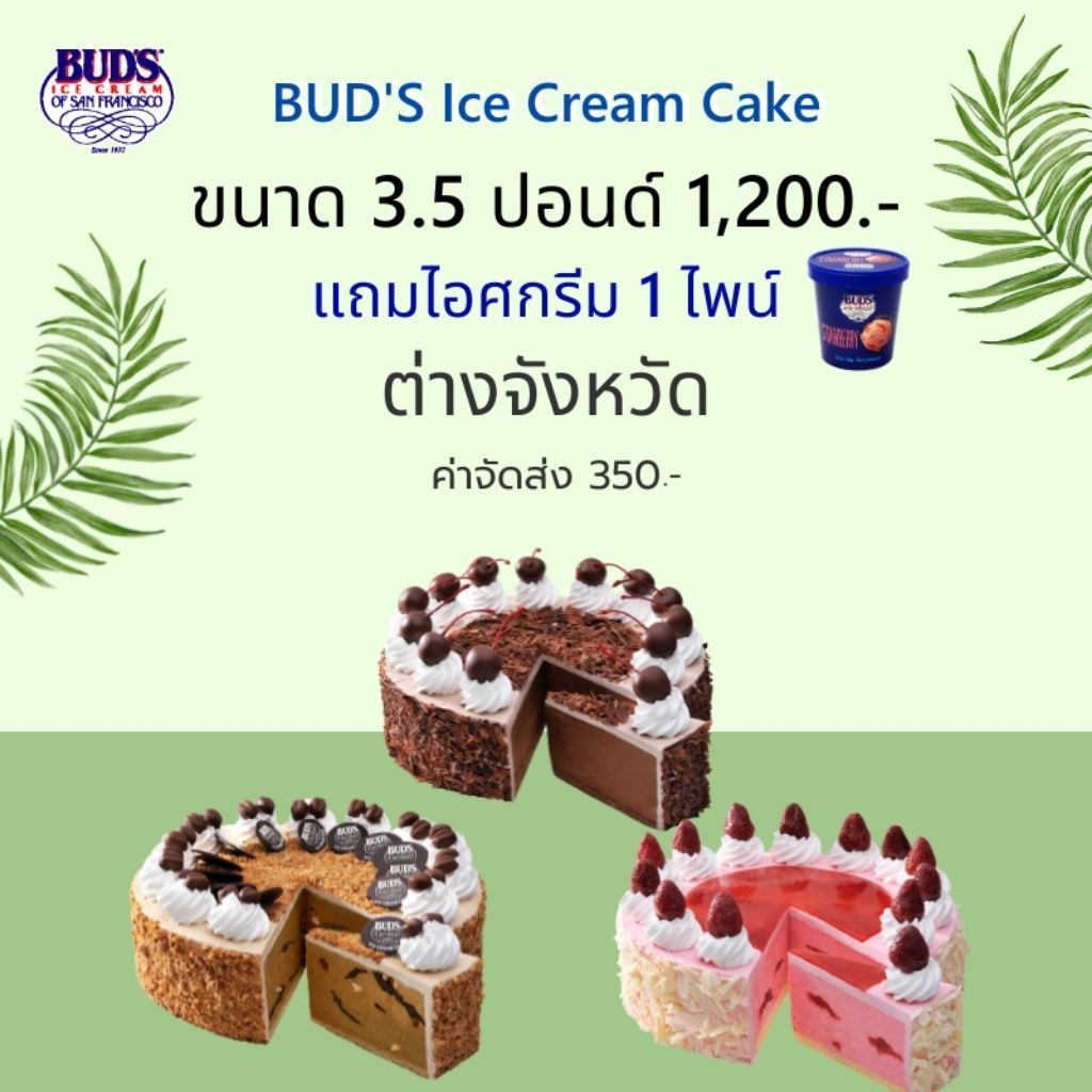 ซื้อไอศกรีมเค้ก 3.5 ปอนด์ แถมไอศกรีม 1 ไพน์ ต่างจังหวัด เพียง 1,550 บาท
