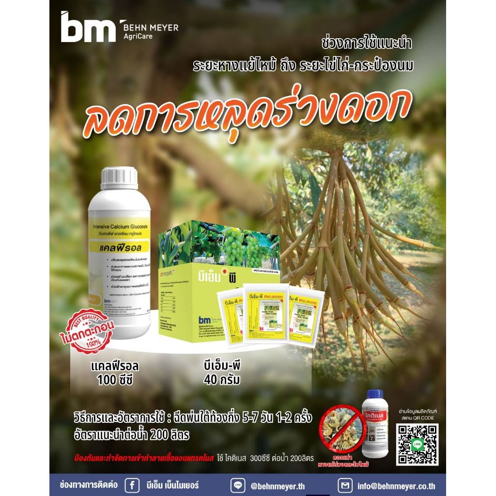 แคลฟีรอล ลดการหลุดร่วงดอกทุเรียน ติดผลดก ขั้วผลเหนียว ช่วยให้ขั้วเหนียว ขั้วใหญ่ ช่วยขยายการสร้างเนื้อ กันเมล็ดลีบ