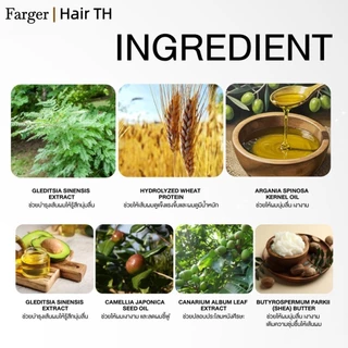Farger Professional Hair color Cream 15 colors ครีมเปลี่ยนสีผม สีชัด ติดทน ละมุน เงางาม ครีมย้อมผมผสมน้ำมันบำรุงผม 100ml