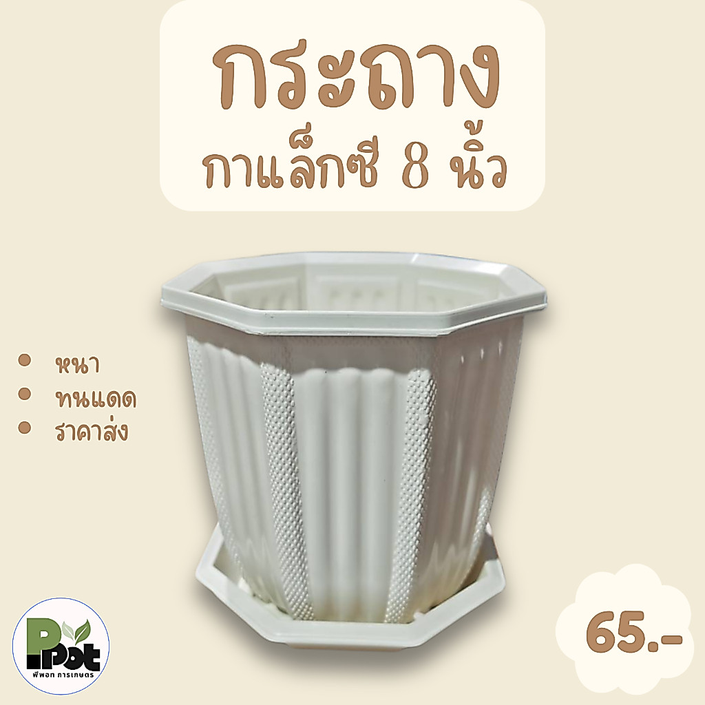 กระถางต้นไม้ รุ่นกาแล็กซี 8 นิ้ว + จานรอง สีขาว กระถางโมเดิร์นทรงแปดเหลี่ยม สำหรับปลูกต้นไม้เเละตกแต่งบ้าน