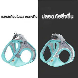 สายจูงแมว สายจูงแมวเด็ก ผ้าตาข่าย ปรับขนาดได้ น้ำหนักเบา มีแถบสะท้อนแสง สำหรับเดินเล่นนอกบ้าน