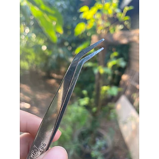 Forcep ฟอร์เซป ปากงอ ปากตรง คุณภาพดี จากสแตนเลส สำหรับคีบเมล็ดผักลงฟองน้ำ