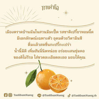 ทานคำนึง | มะปี๊ดฮันนี่ น้ำมะปี๊ดเข้มข้น หอม คั้นสดจากสวน ผสมน้ำผึ้งป่าชั้นดี Calamansi Honey Squash
