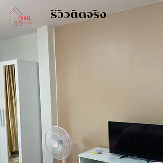 วอลเปเปอร์ติดผนังสีพื้นมินิมอล วอลเปเปอร์ติดผนังห้องสีล้วนขนาด0.45x9-10M มีกาวในตัว wallpaper ตกแต่งห้อง