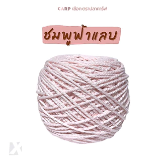 เชือกฟอก (2 มิล 100g) ไหมถักโครเชต์กระเป๋า งานฝีมือ ตราปลาคาร์ฟ carp 100 กรัม