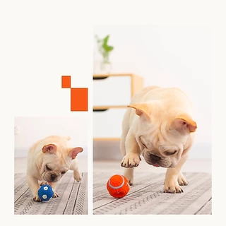 yoyopet : ลูกบอลมีเสียง บอลยาง ยางกัดสุนัข ของเล่นสุนัข ของเล่นหมา ลูกบอล รักบี้ มีให้เลือกหลายแบบ