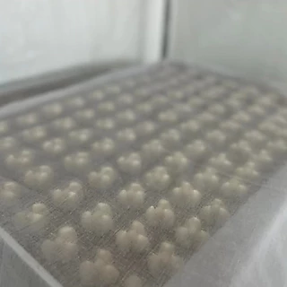 ขนมกลีบลำดวนสูตรไข่ขาว ขนมสุขภาพ ขนมสำหรับโรคไต อาหารโรคไต ทานได้ทุกระยะ สูตรByอาจารย์เปิ้ล นักกำหนดอาหารวิชาชีพ