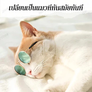 Pet Record พร้อมส่ง แว่นตาสัตว์เลี้ยง แว่นแมว แว่นสุนัข กันลม กันฝุ่น ดีไซน์น่ารัก แถมฟรีสายคล้องแว่นกันลื่น