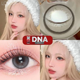 🔥คอนแทคเลนส์ - ขนาดบิ๊กอาย 💗Dna (Lovelylens) สี : Gray/ Brown